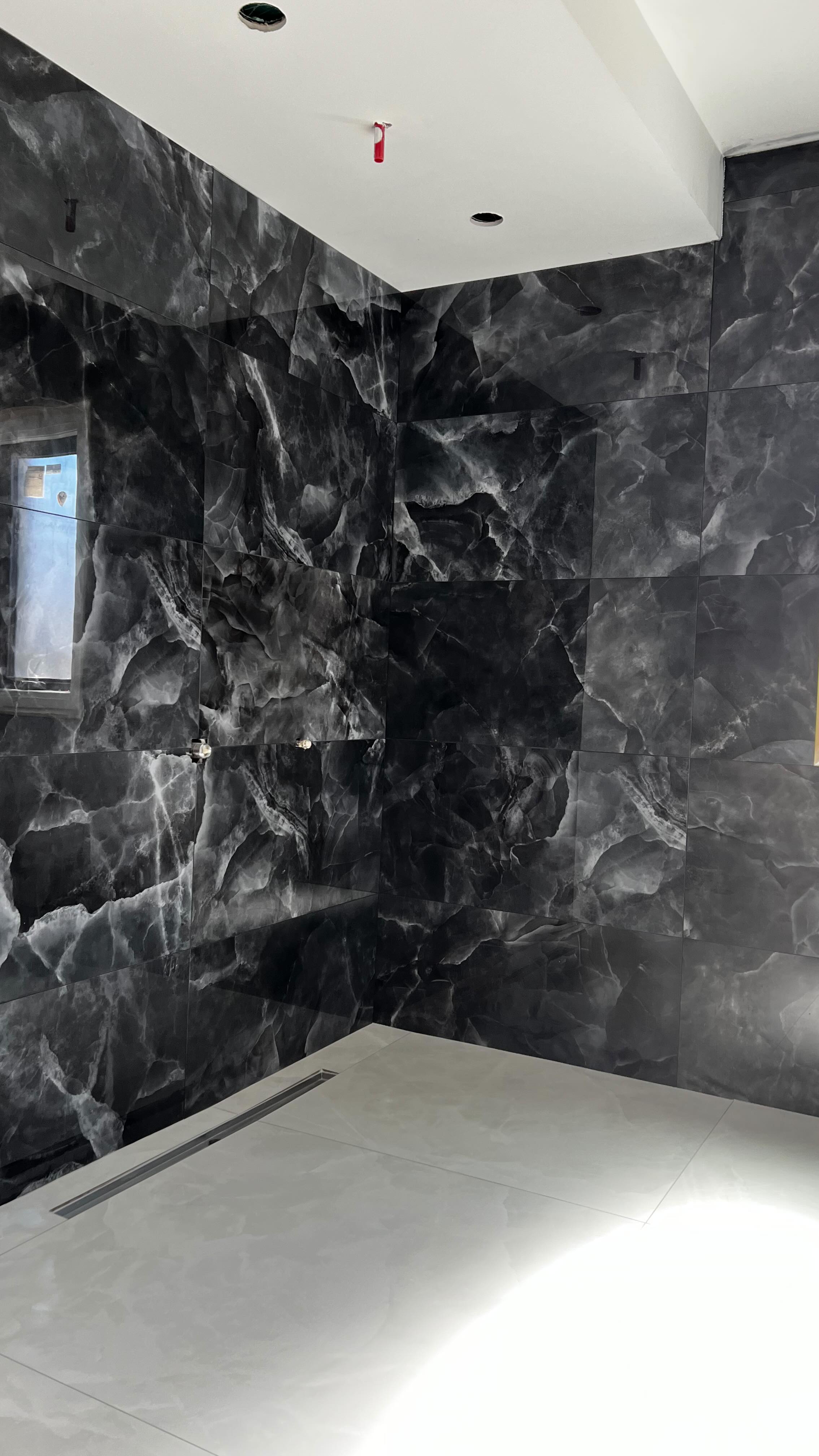 Master bathroom renovation